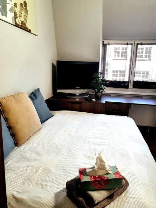 Apartment Hautnah Erleben - Schoene Maisonette 2og *